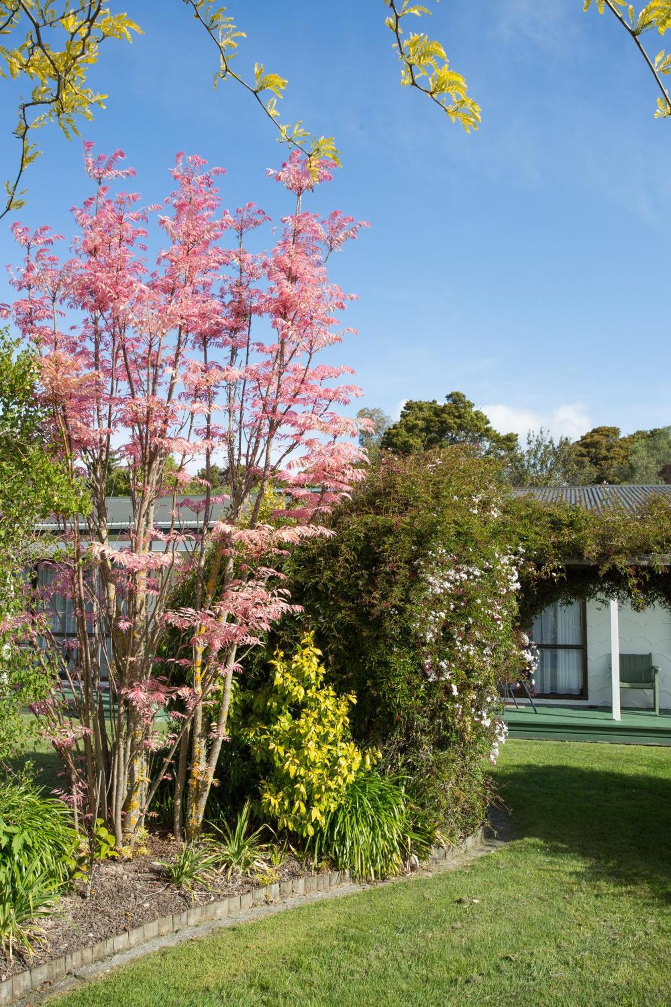 The Park Motel Motueka Esterno foto